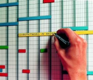 Legamaster Magnet Sort Magnetic strips for planning, 12 stk. 5x300mm