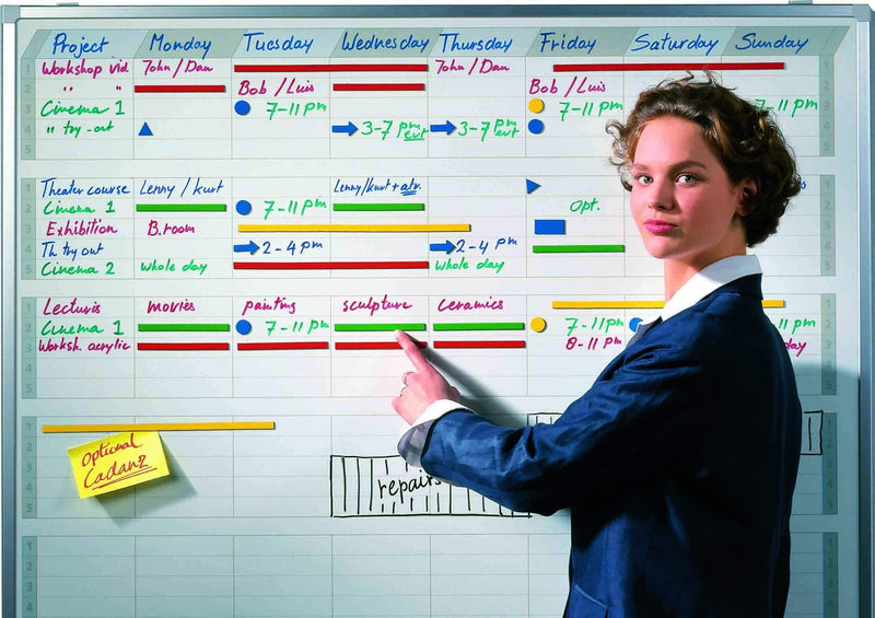 Legamaster Magnet Magnetic strips for planning, 12 stk. 5x300mm